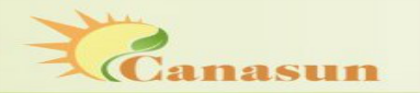 Service-Canasun